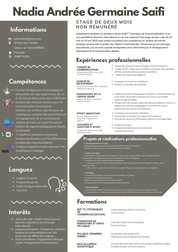 CV Nadia SAIFI BI